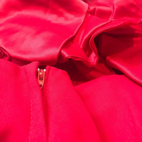 Vintage Valentines Cherry Red Dress - Picture 9 of 9